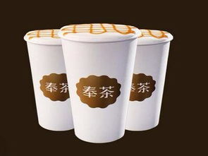 奉茶加盟指南 費用、商業策劃服務與南通加盟可行性解析